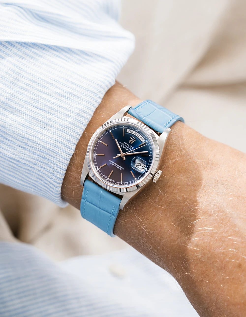 Rolex DayDate in white gold with a sky blue embossed alligator leather strap from Wristbuddys on a wrist, wearing a blue white sleeve.